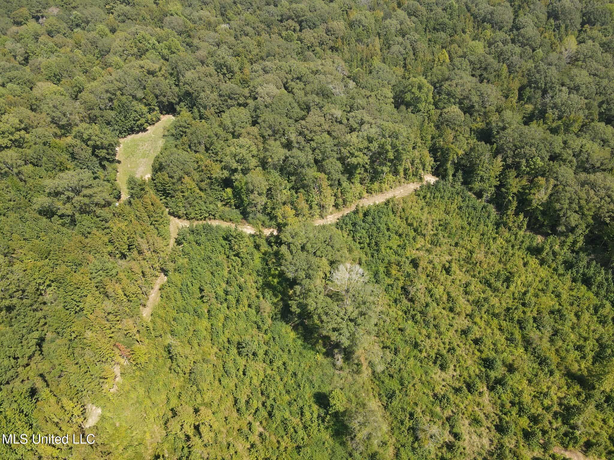 Phares Lane Roxie, MS 39661 - Photo 7 of 173 04c654ad-7c9b-4da7-a60d-17a61e19598f