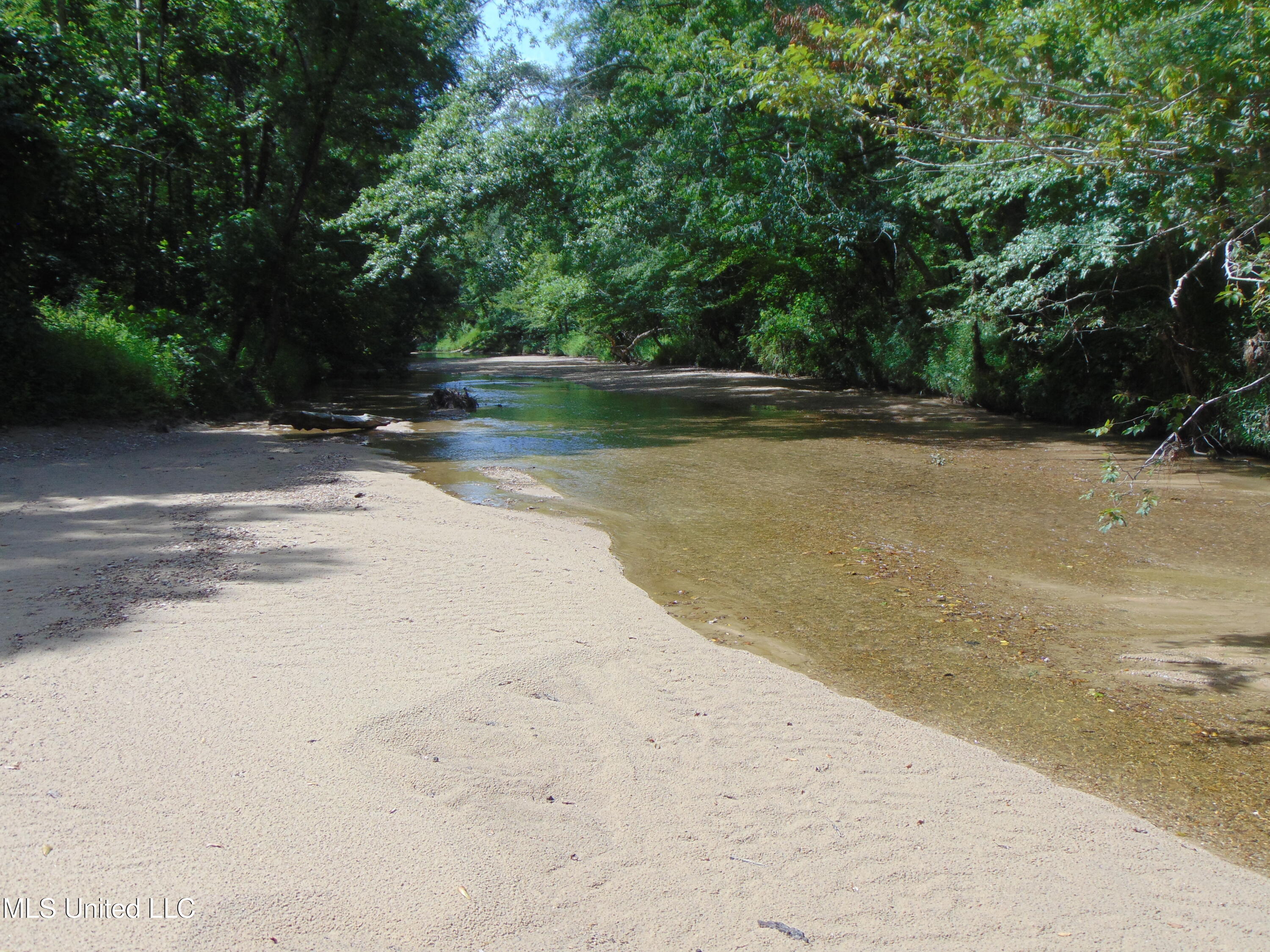 Phares Lane Roxie, MS 39661 - Photo 71 of 173 DSC05288