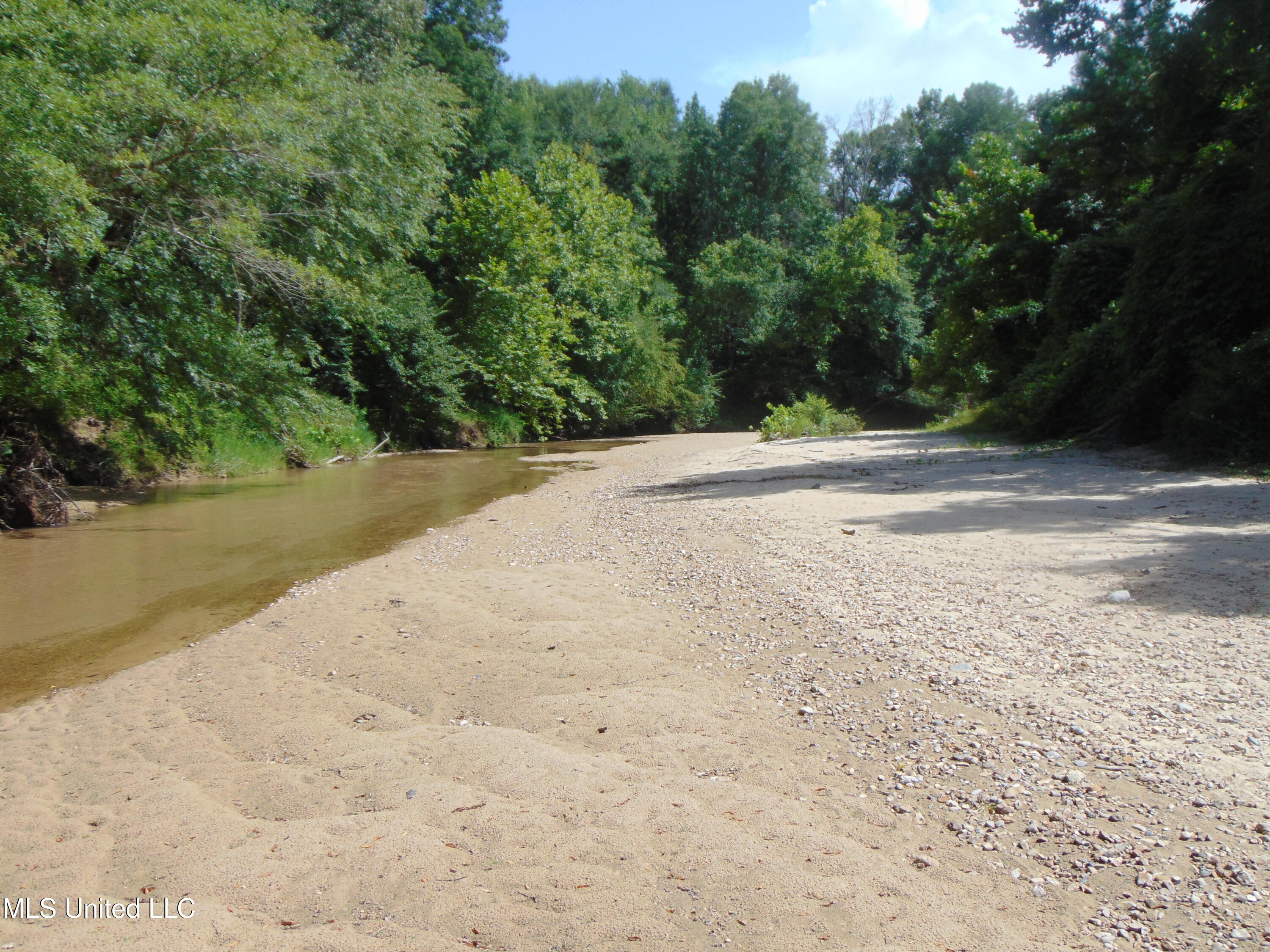 Phares Lane Roxie, MS 39661 - Photo 72 of 173 DSC05289