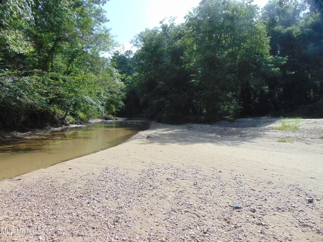 $1,299,000 | Phares Lane, Roxie, MS 39661