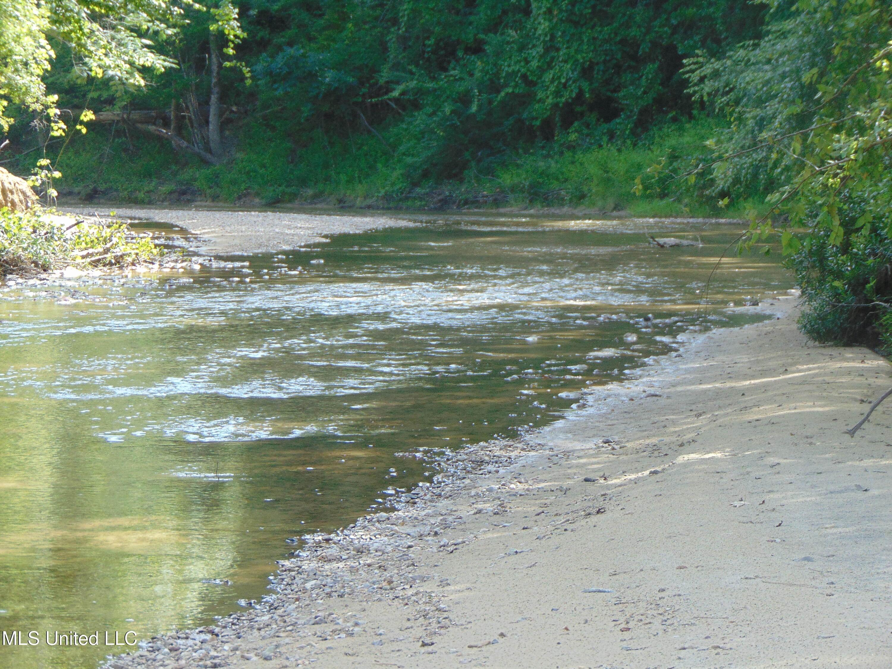 Phares Lane Roxie, MS 39661 - Photo 74 of 173 DSC05292