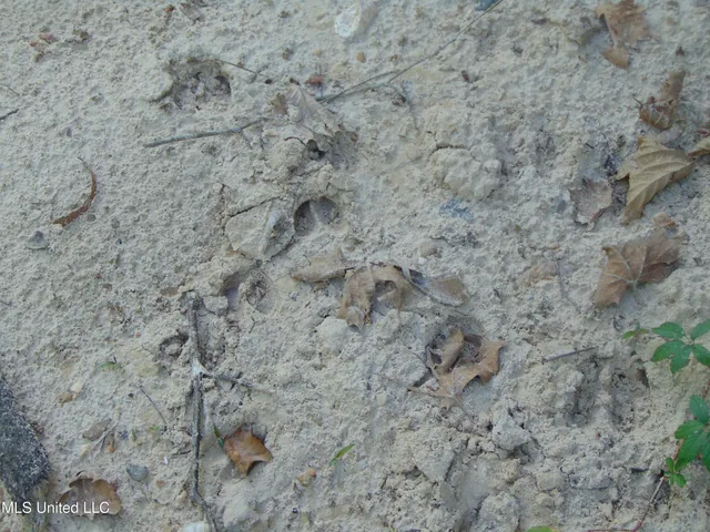 $1,299,000 | Phares Lane, Roxie, MS 39661