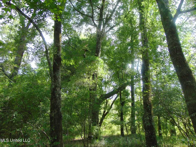 $1,299,000 | Phares Lane, Roxie, MS 39661