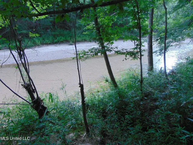 $1,299,000 | Phares Lane, Roxie, MS 39661