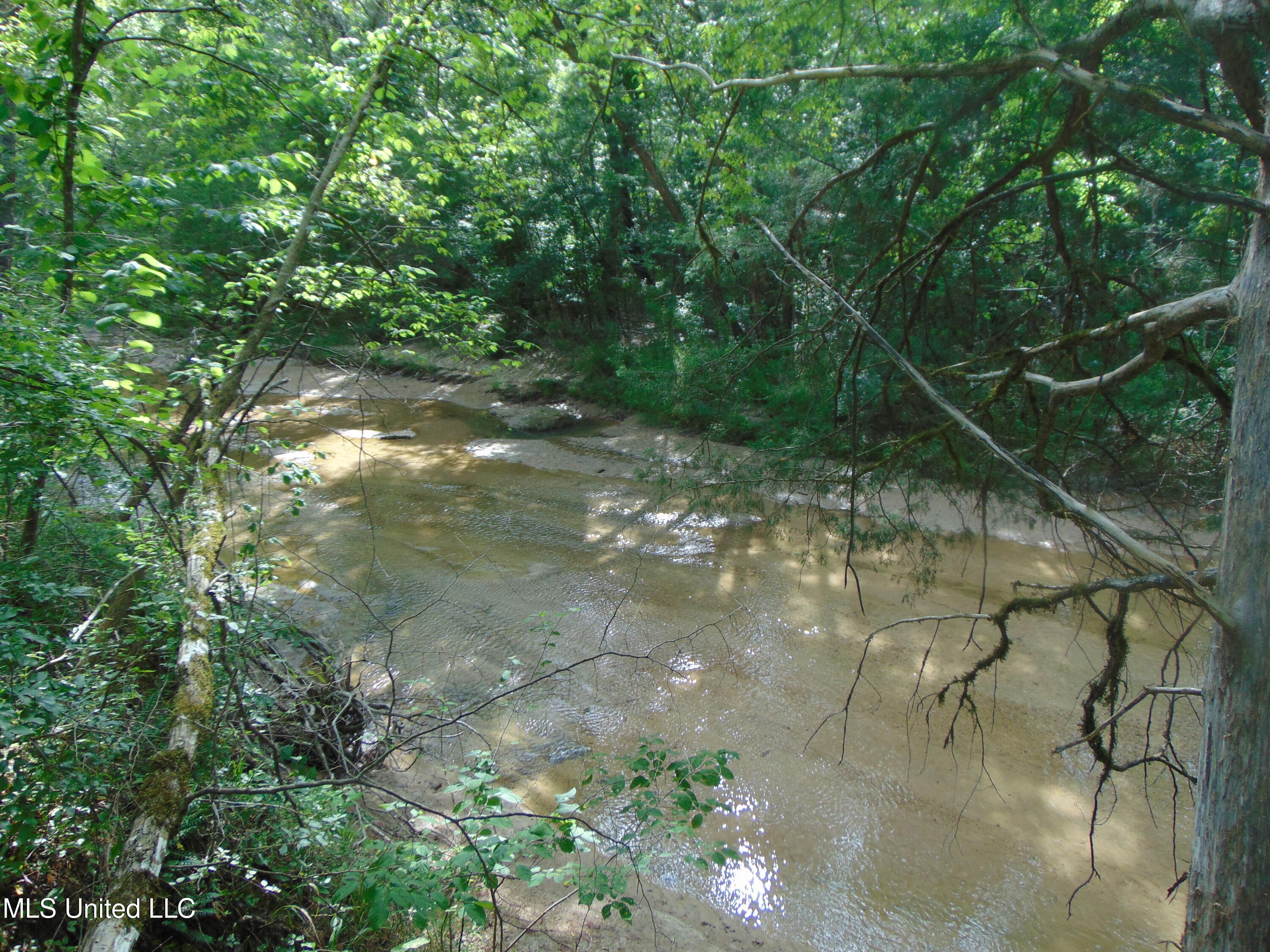 Phares Lane Roxie, MS 39661 - Photo 79 of 173 DSC05304