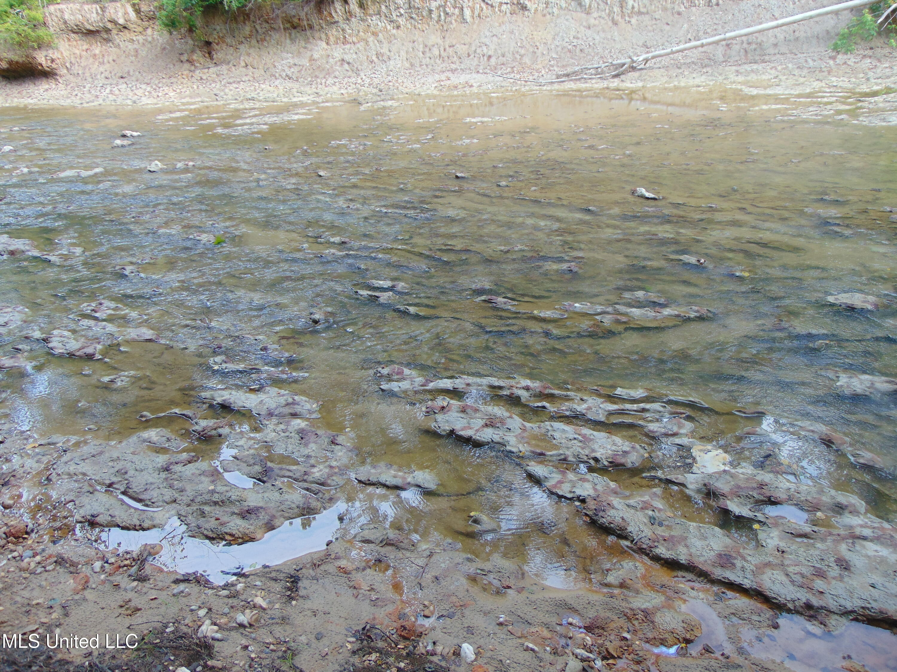 Phares Lane Roxie, MS 39661 - Photo 80 of 173 DSC05306