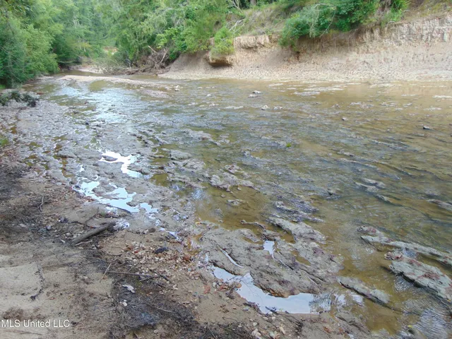 $1,299,000 | Phares Lane, Roxie, MS 39661