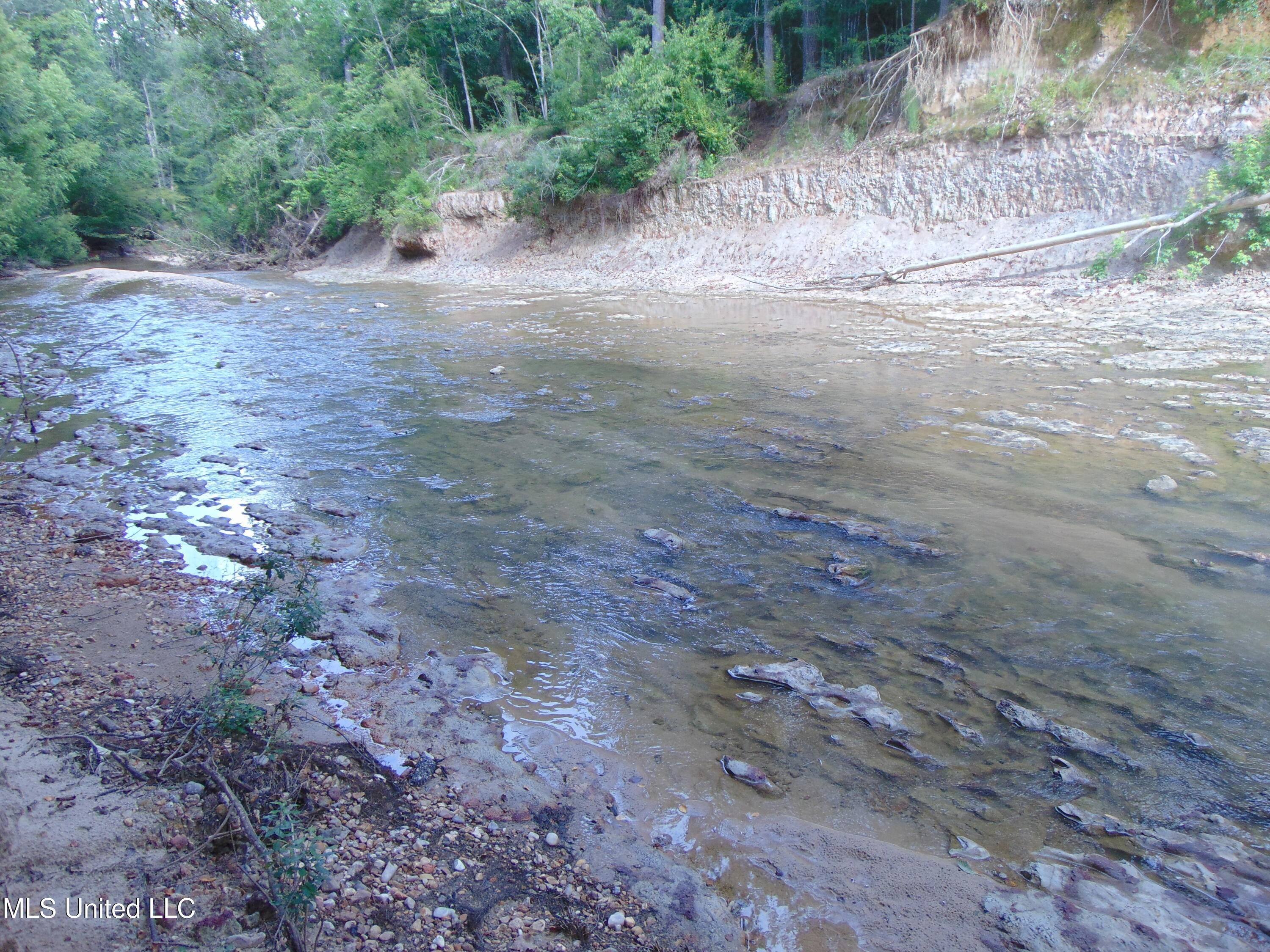 Phares Lane Roxie, MS 39661 - Photo 82 of 173 DSC05308