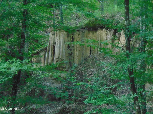 $1,299,000 | Phares Lane, Roxie, MS 39661