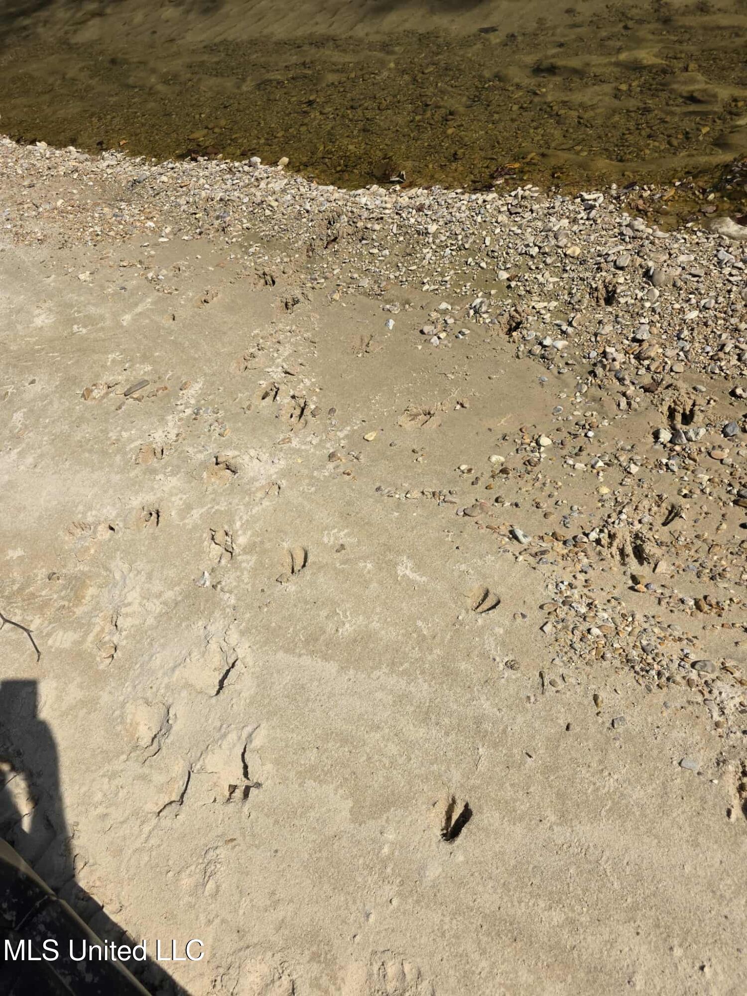 Phares Lane Roxie, MS 39661 - Photo 85 of 173 e9b8444f-fd75-42ce-8a0d-096b9ac3795b