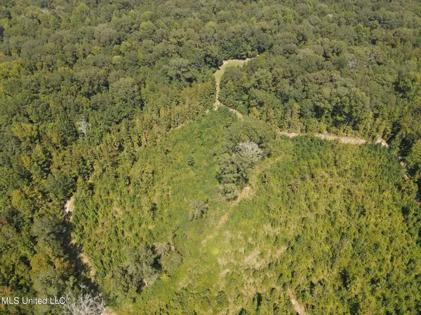 $1,299,000 | Phares Lane, Roxie, MS 39661