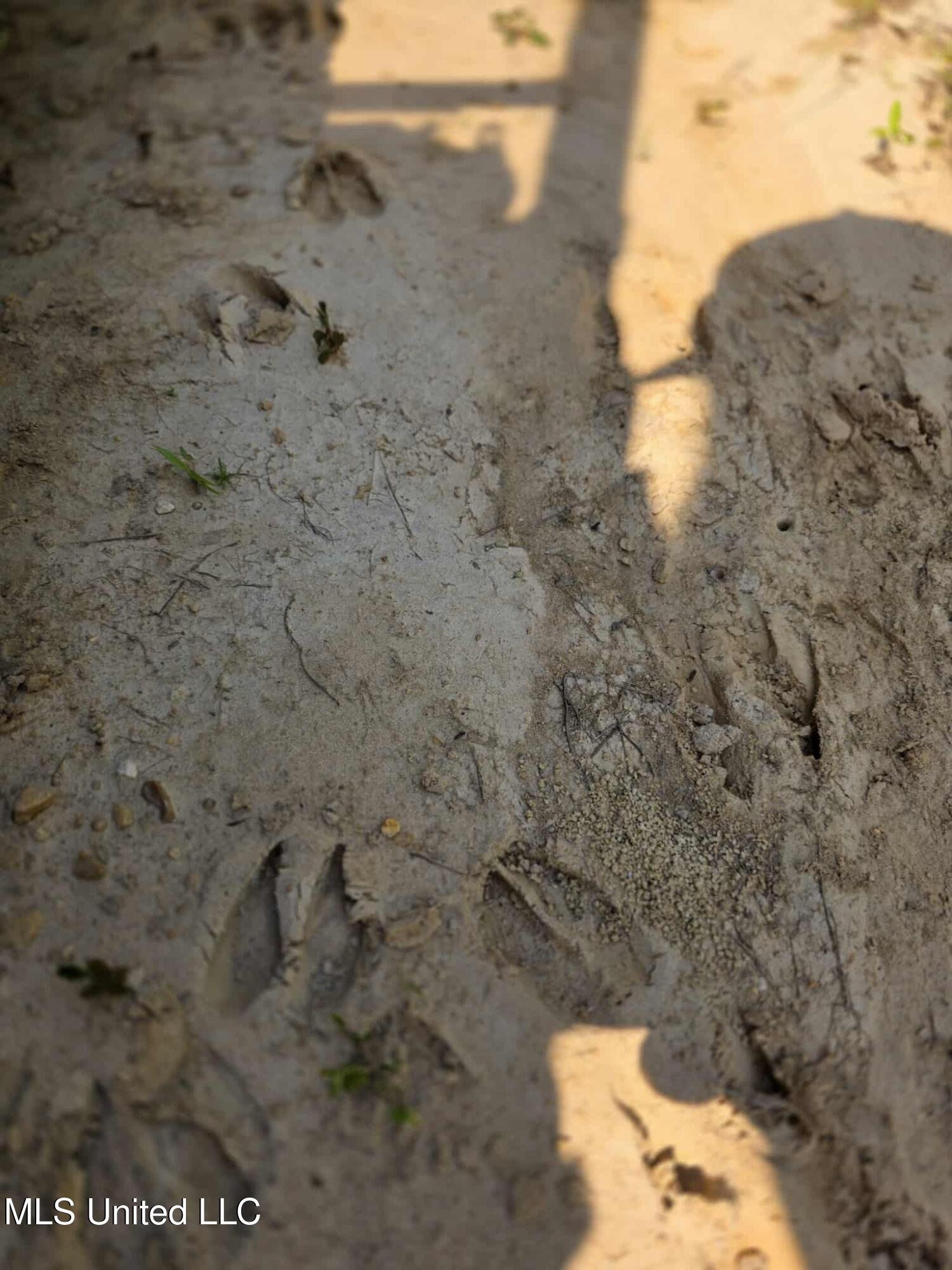Phares Lane Roxie, MS 39661 - Photo 87 of 173 f0d64285-573e-4db9-b203-e7b869197e66