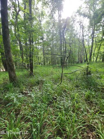 $1,299,000 | Phares Lane, Roxie, MS 39661