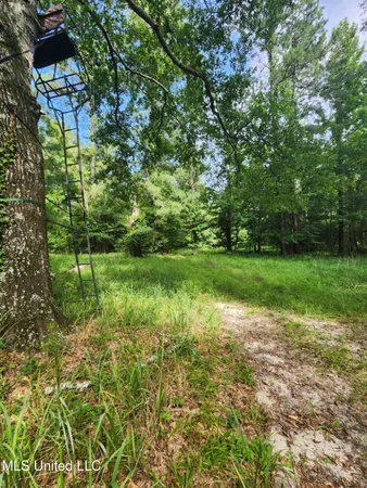 $1,299,000 | Phares Lane, Roxie, MS 39661