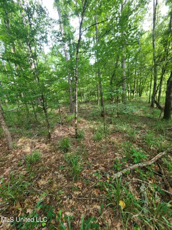 $1,299,000 | Phares Lane, Roxie, MS 39661