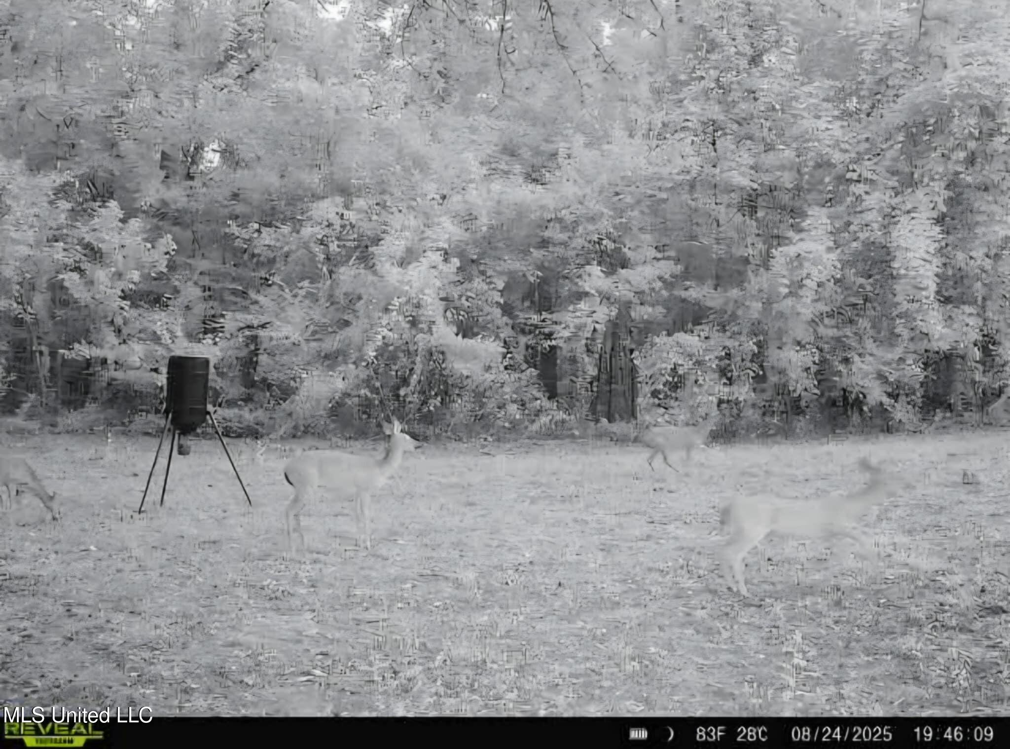 Phares Lane Roxie, MS 39661 - Photo 95 of 173 Messenger_creation_3D2CF65F-D57F-4EF2-9B