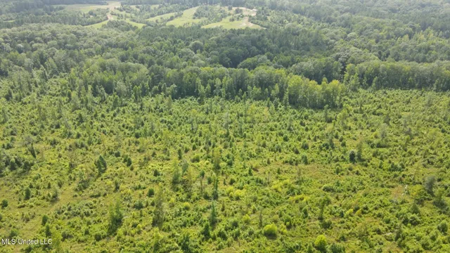 $1,299,000 | Phares Lane, Roxie, MS 39661