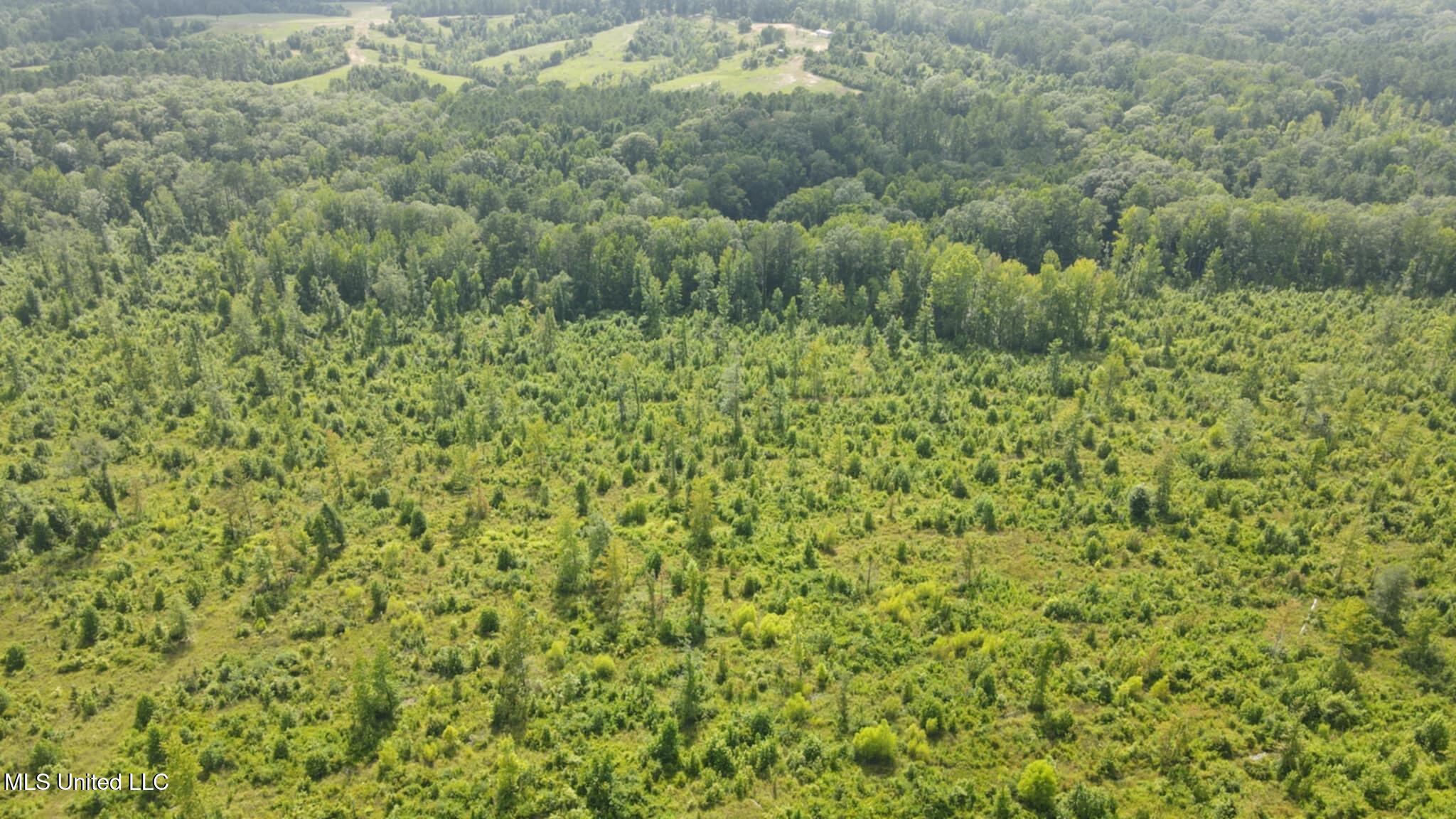 Phares Lane Roxie, MS 39661 - Photo 96 of 173 Messenger_creation_3D97C732-6A8D-4876-A6