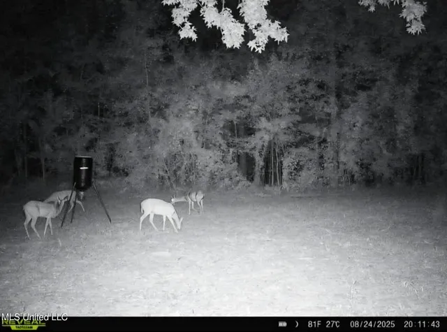 $1,299,000 | Phares Lane, Roxie, MS 39661