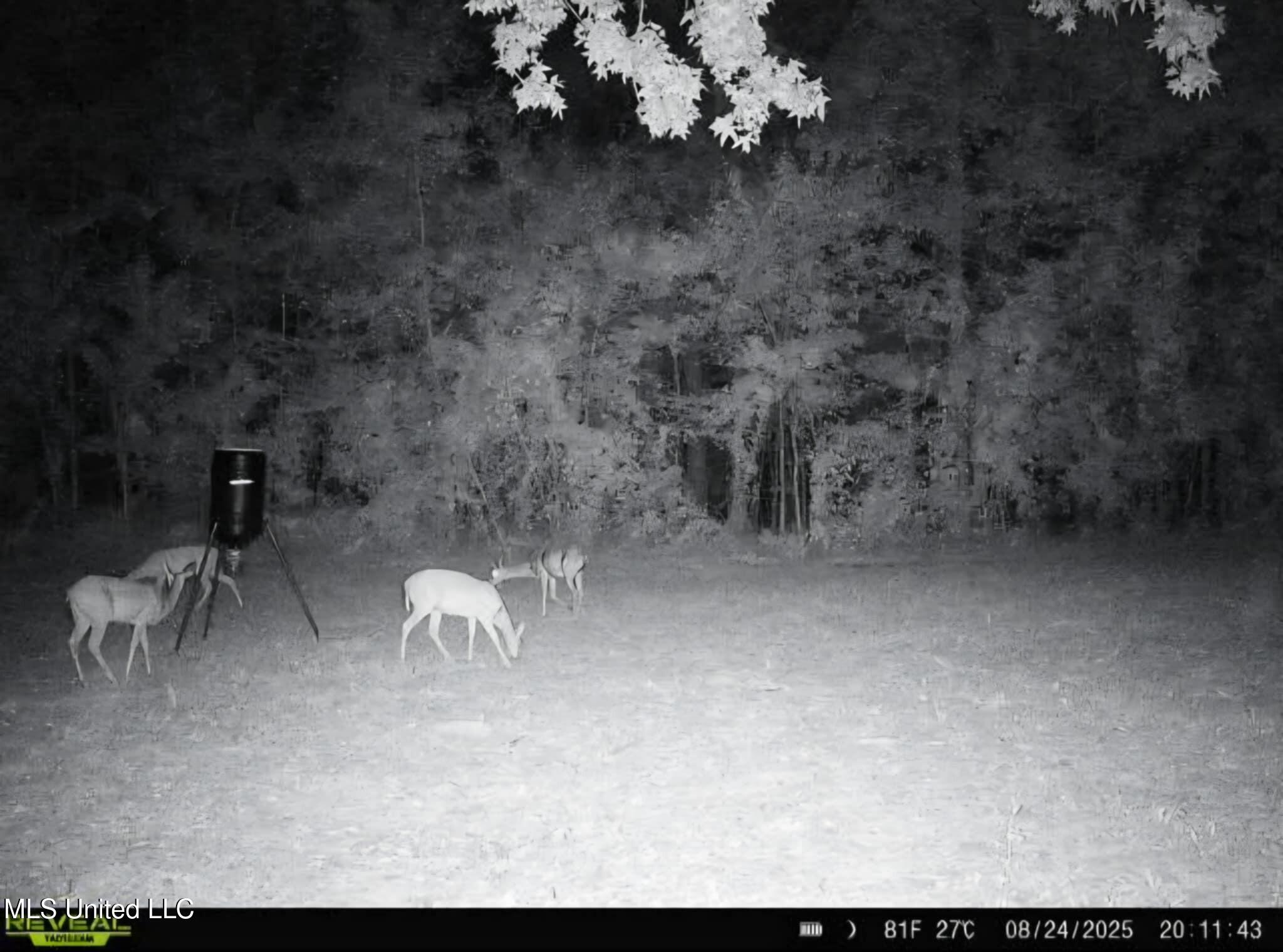 Phares Lane Roxie, MS 39661 - Photo 99 of 173 Messenger_creation_4C223572-5C71-4DA0-BE