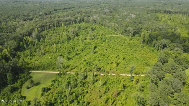 $1,299,000 | Phares Lane, Roxie, MS 39661