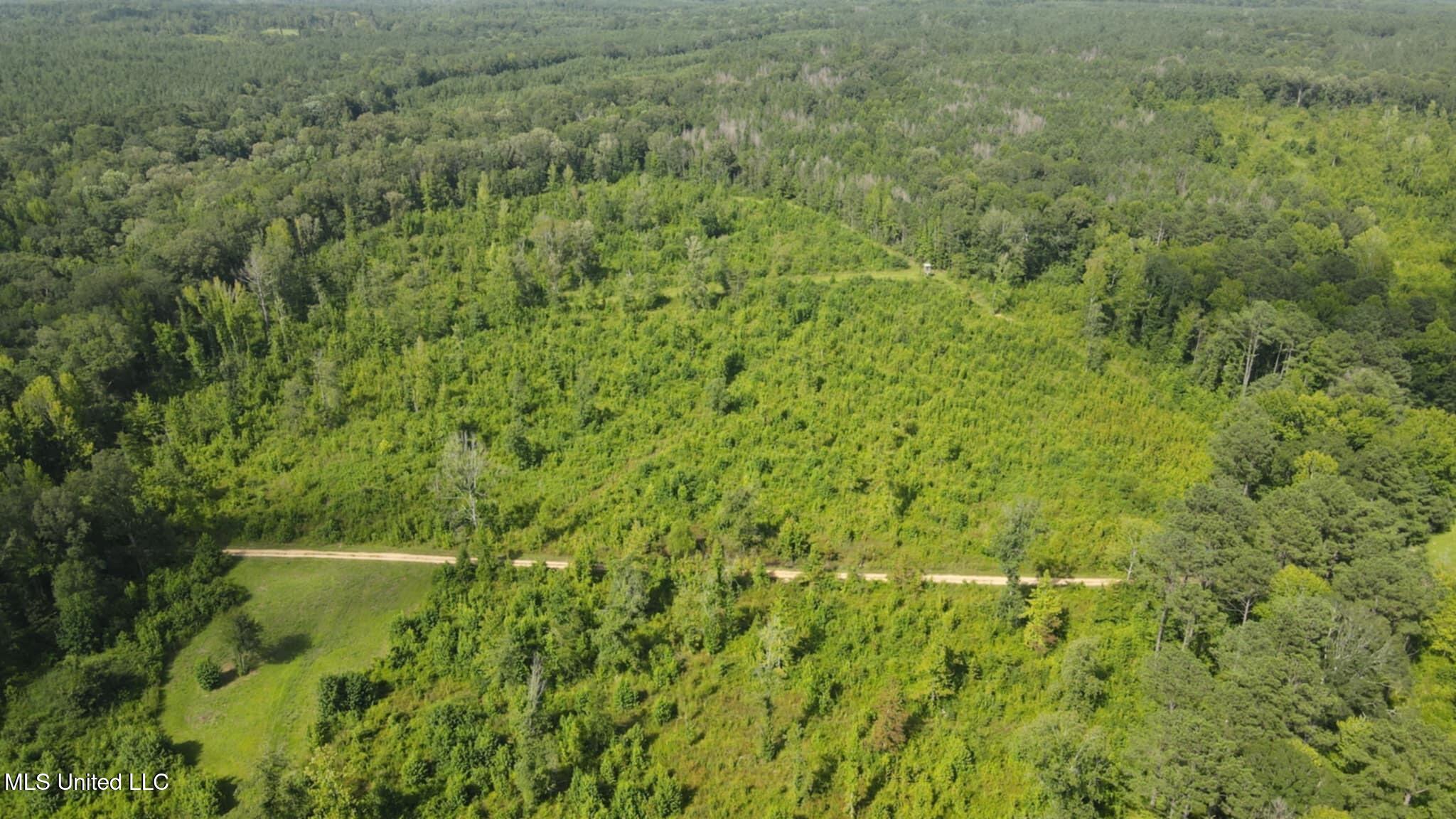 Phares Lane Roxie, MS 39661 - Photo 100 of 173 Messenger_creation_4CBB1BFA-BFF7-4E8F-B0