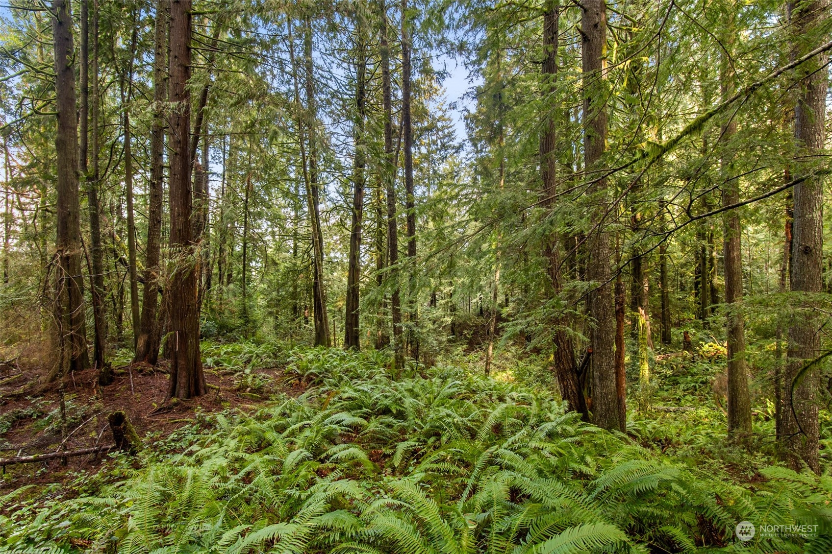4355 Clair Road Southwest Port Orchard, WA 98367 - Photo 13 of 16 Gallery Image 13