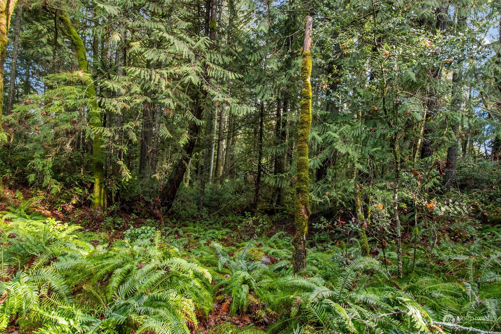 4355 Clair Road Southwest Port Orchard, WA 98367 - Photo 10 of 16 Gallery Image 10