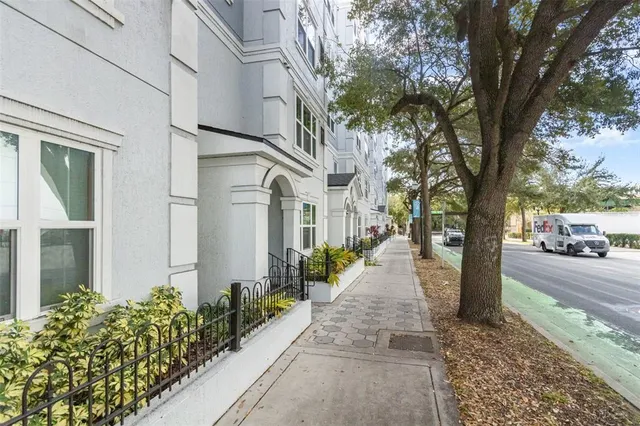 a view of a pathway with a white house with a tree