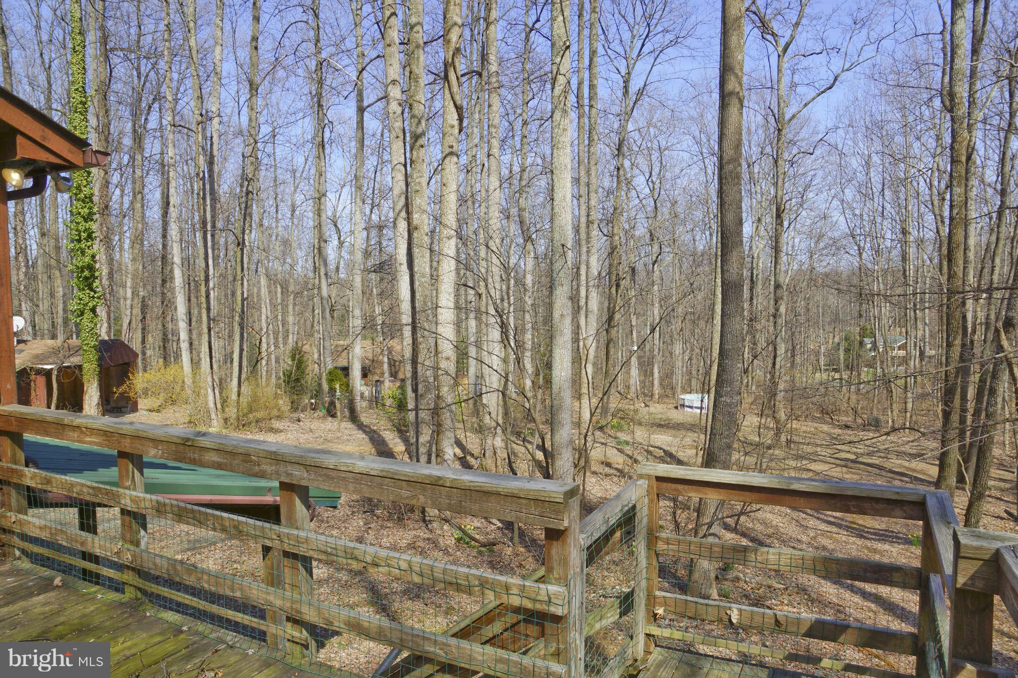 10268 Stillhouse Road Delaplane, VA 20144 - Photo 28 of 30 View