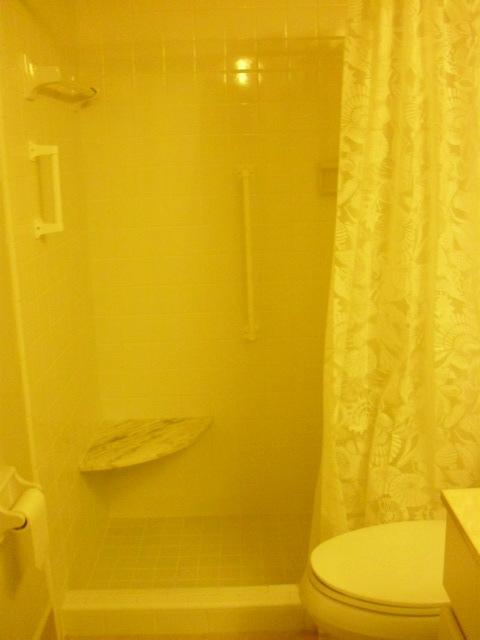11 Concourse Drive, Unit 11A Tequesta, FL 33469 - Photo 35 of 54 Hall Bath Tub/Shower w/SEAT