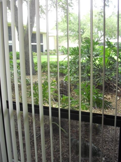 11 Concourse Drive, Unit 11A Tequesta, FL 33469 - Photo 36 of 54 Bdrm 2 window and garden view