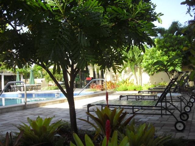 11 Concourse Drive, Unit 11A Tequesta, FL 33469 - Photo 54 of 54 Shady and relaxing Pool area