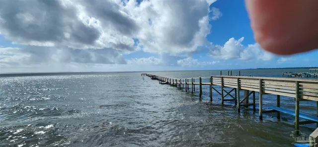 a view of a back yard of the house