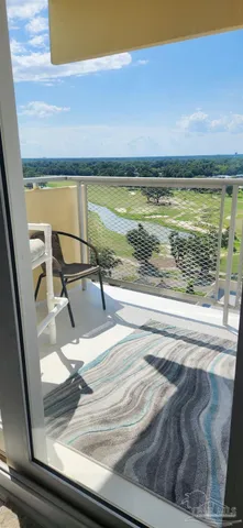 a close up of a plant in a field