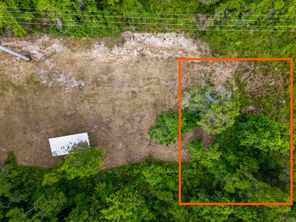1103 Copacetic Road Carrabelle, FL 32322 - Photo 4 of 10