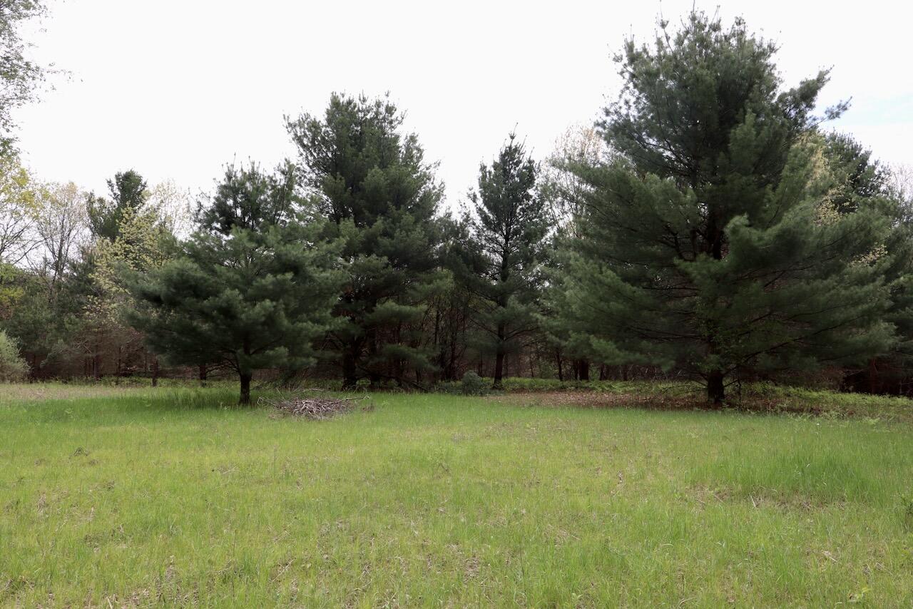 6153 South Branch Road Branch, MI 49402 - Photo 19 of 70 18