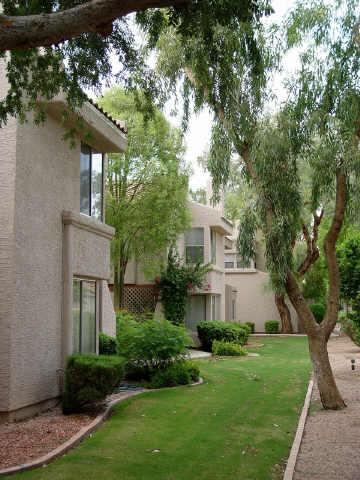 2834 South Ext Road, Unit 2058 Mesa, AZ 85210 - Photo 6 of 6 Additional Photo