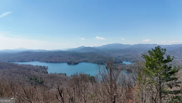 a view of a lush green hillside and a houses