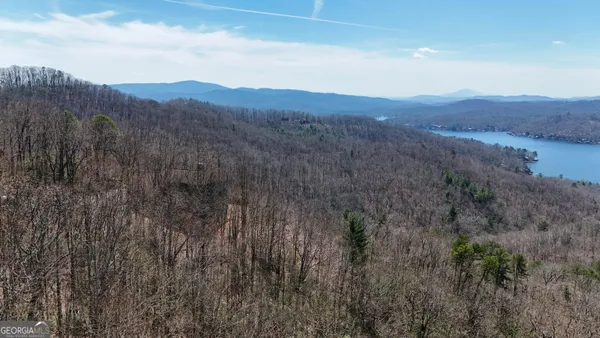 a view of a dry yard with green space