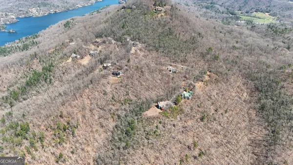 a close up of a plants