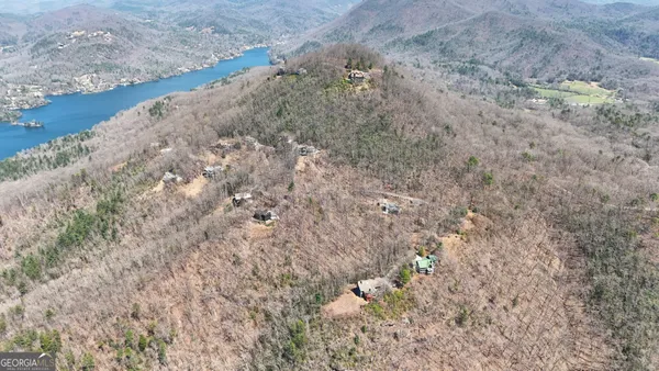 a view of a dry yard with green space
