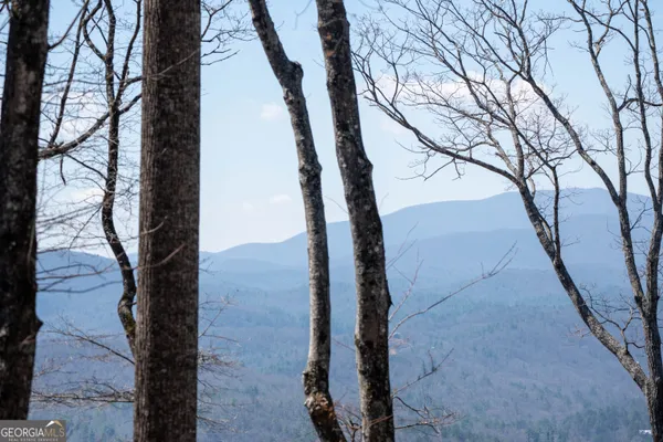 a view of a lake with mountains in the background