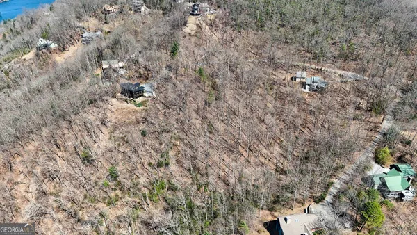a view of backyard with tree