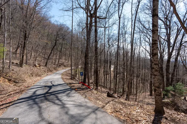 a view of a backyard with green space