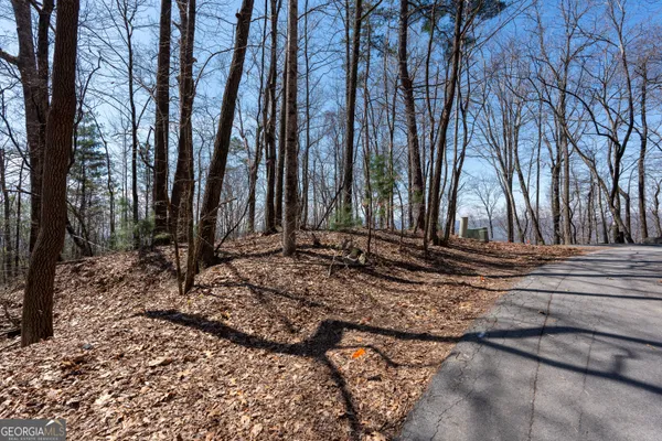 a view of a backyard with large trees