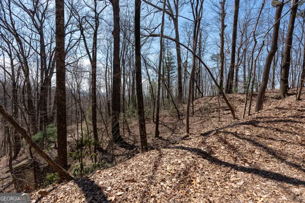 a view of outdoor space with trees