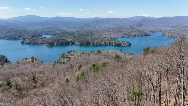 a view of a lake in middle of forest