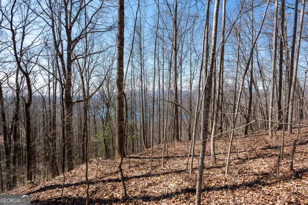 a view of a backyard with wooden fence
