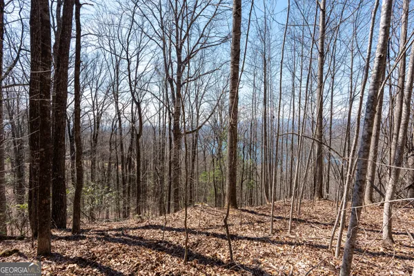 a view of outdoor space with a lake view